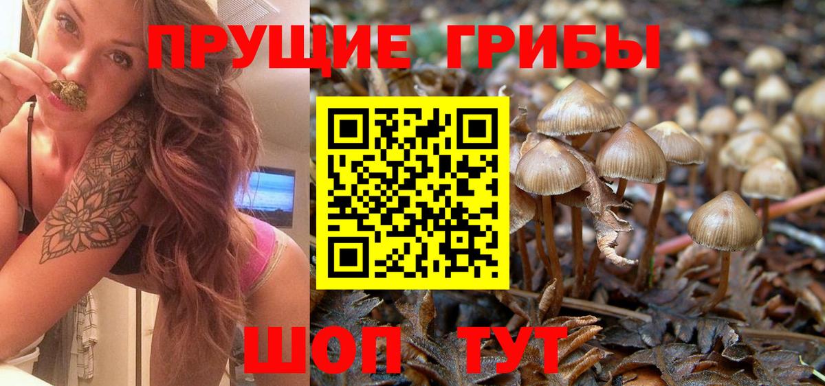 Псилоцибиновые грибы Psilocybine cubensis  Галлюциногенные грибы ЛСД  Вход с VPN  Ижевск 
