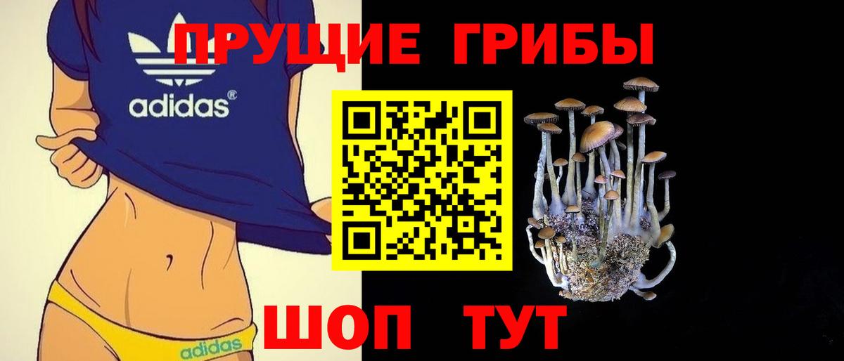 Псилоцибиновые грибы мухоморы Ижевск